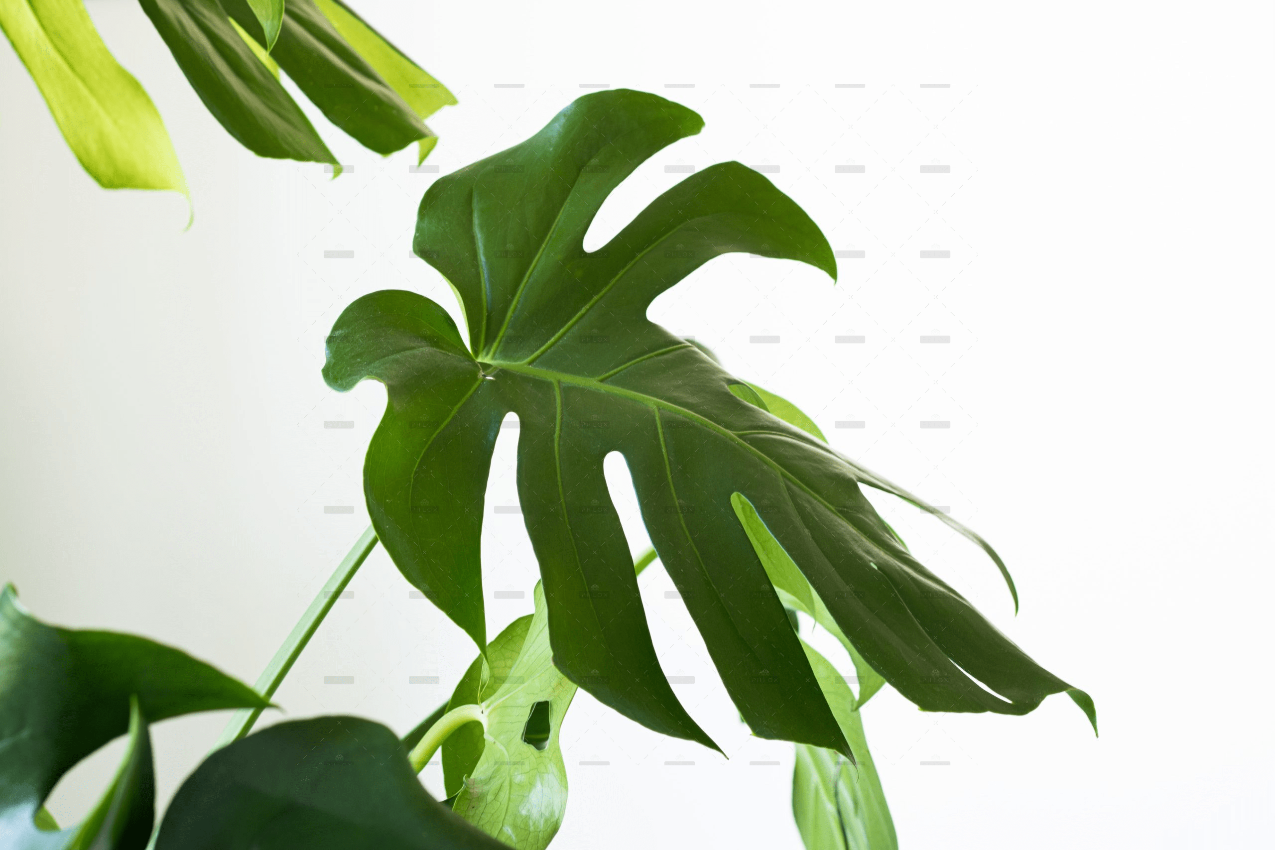 demo-attachment-658-ergita-sela-OFrc0b8ruts-unsplash-scaled